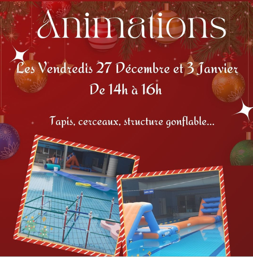 Animations Noel 2024 Newsletter